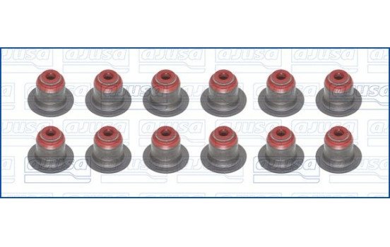 Seal Set, valve stem