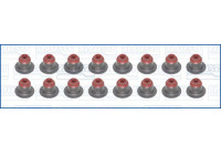 Seal Set, valve stem