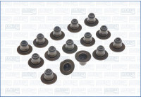 Seal Set, valve stem