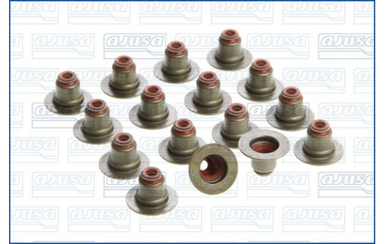 Seal Set, valve stem