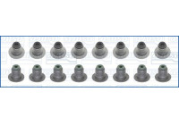 Seal Set, valve stem