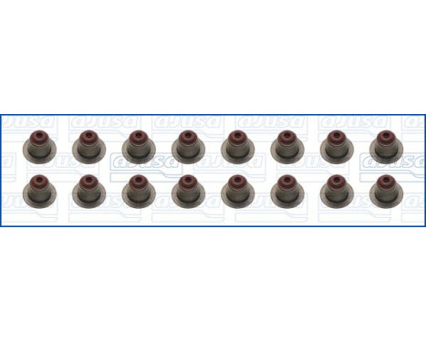 Seal Set, valve stem