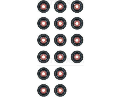 Seal Set, valve stem