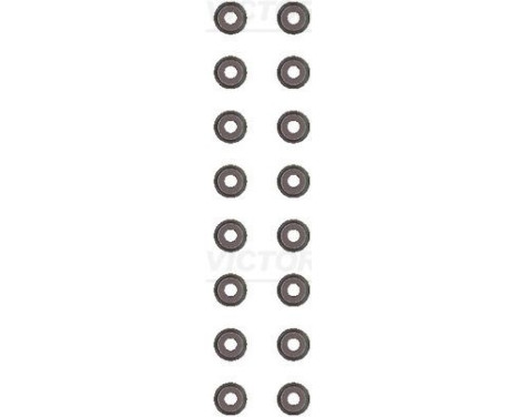 Seal Set, valve stem