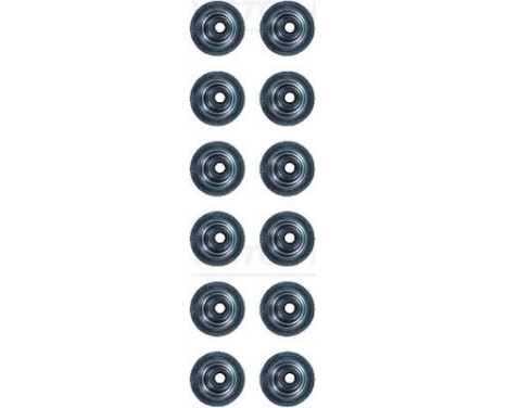 Seal Set, valve stem