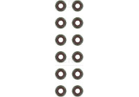 Seal Set, valve stem