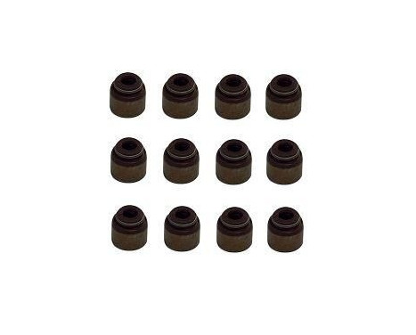 Seal Set, valve stem
