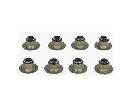 Seal Set, valve stem