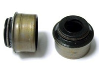 Seal, valve stem