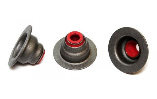 Seal, valve stem