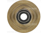 Seal, valve stem