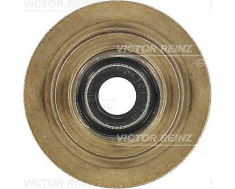 Seal, valve stem