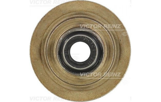 Seal, valve stem