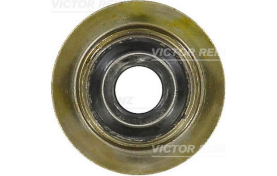 Seal, valve stem