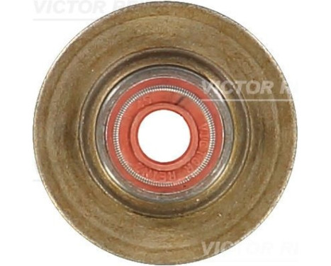 Seal, valve stem
