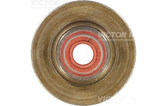 Seal, valve stem