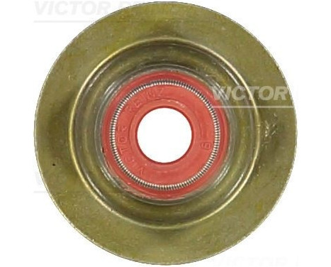Seal, valve stem