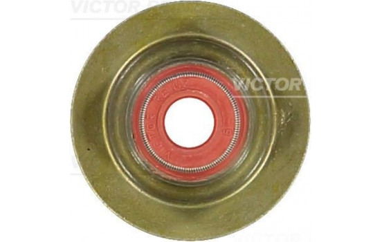 Seal, valve stem