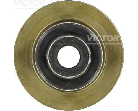 Seal, valve stem
