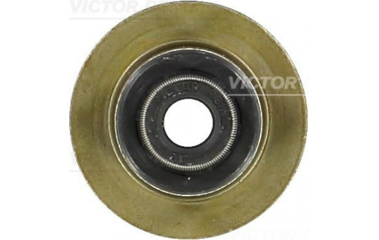 Seal, valve stem