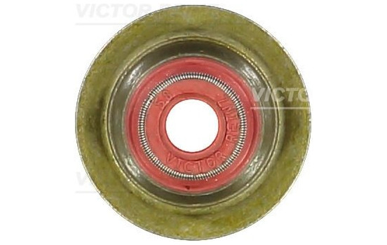 Seal, valve stem