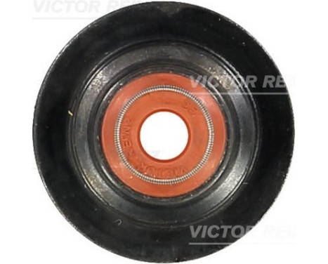 Seal, valve stem