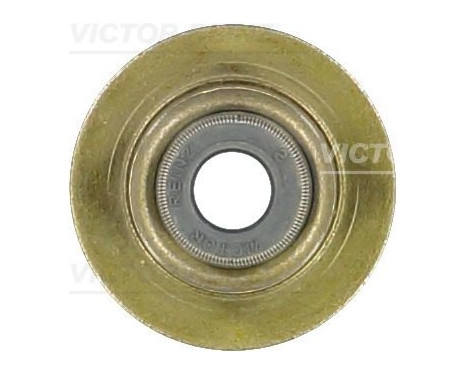 Seal, valve stem