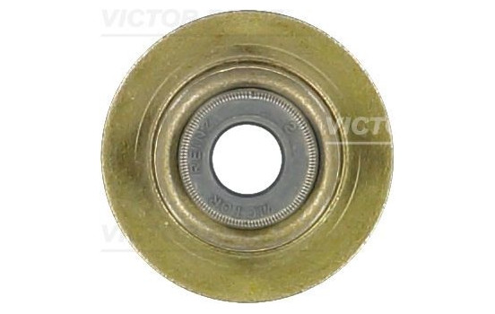 Seal, valve stem