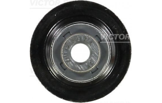 Seal, valve stem