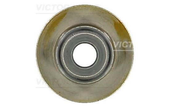 Seal, valve stem