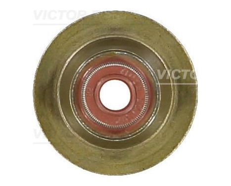 Seal, valve stem