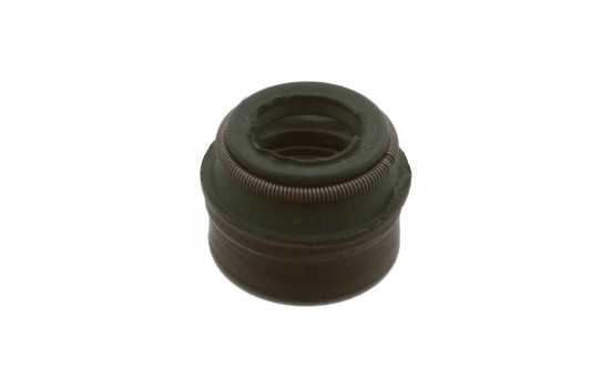 Seal, valve stem