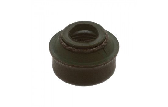 Seal, valve stem