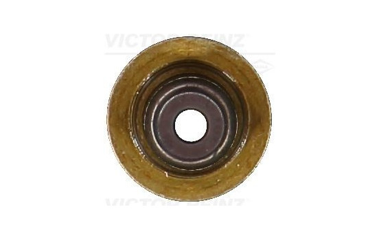 Seal, valve stem