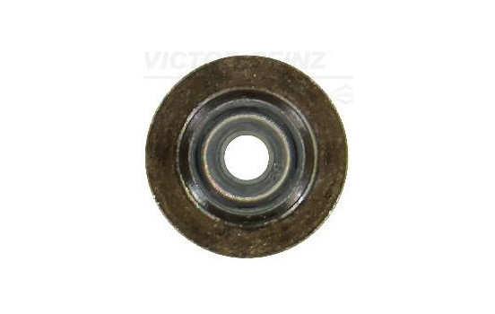 Seal, valve stem