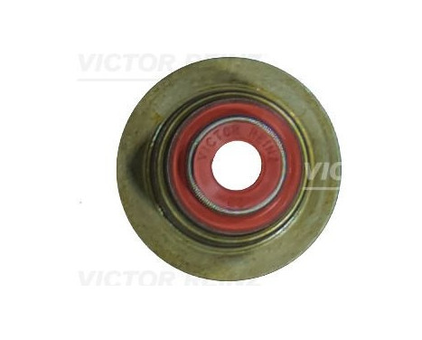 Seal, valve stem