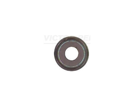 Seal, valve stem