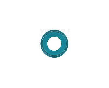 Seal, valve stem