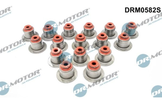 Valve seal set