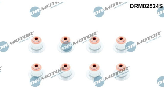 Valve seal set
