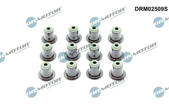 Valve seal set