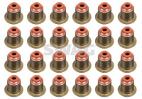 Valve seal set