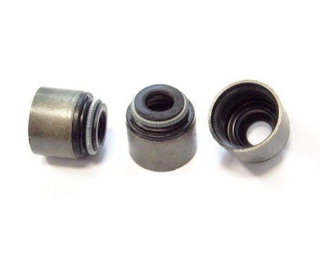 Valve seal