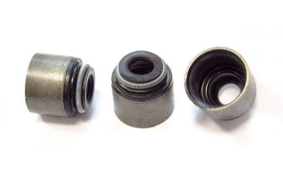Valve seal