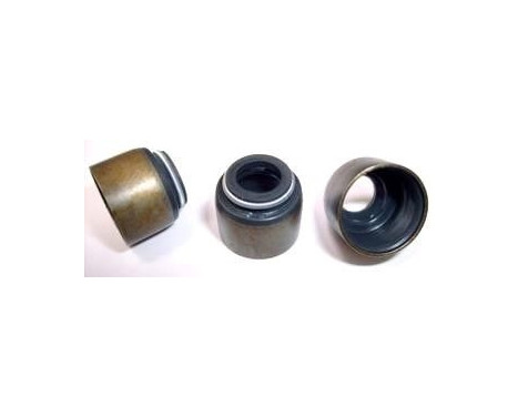 Valve seal