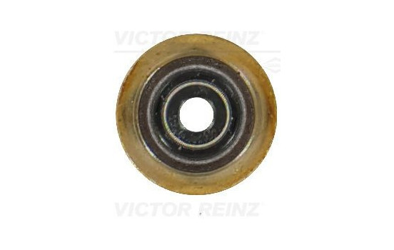 valve stem gasket