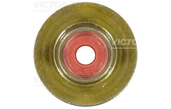 valve stem gasket