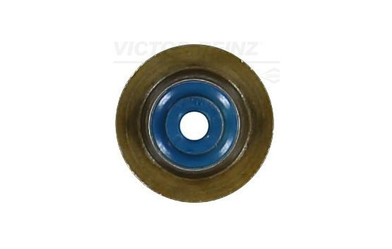 Valve stem gasket