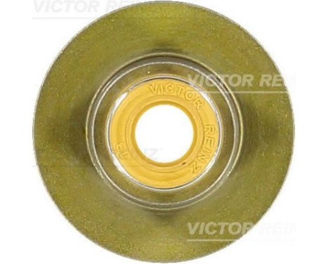 Valve stem gasket