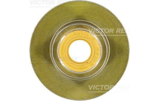 Valve stem gasket